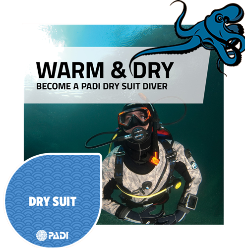 Dry Suit Diver